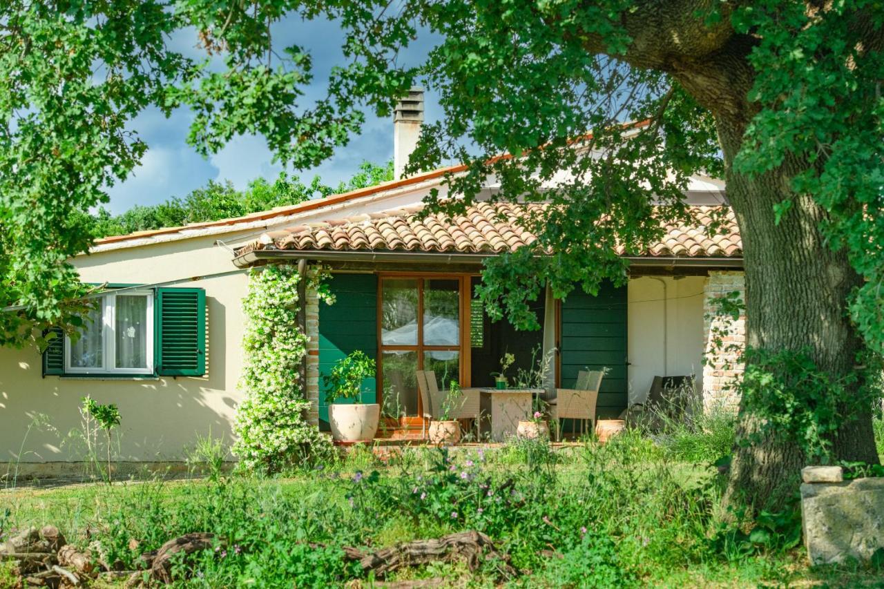 Apartamento House Boris Loborika Exterior foto